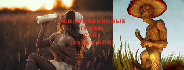 эйфоретик Алексин