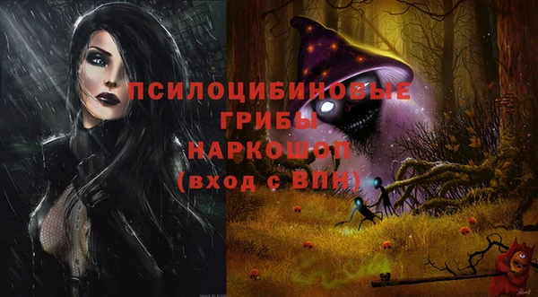 эйфоретик Алексин