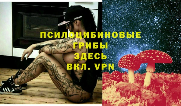 соль курить ск Алексеевка