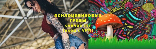 jwh Алзамай